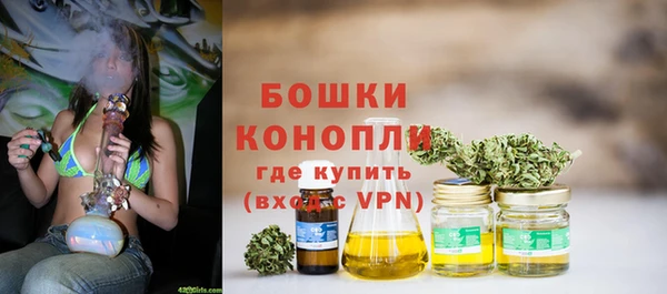 шишки Армянск