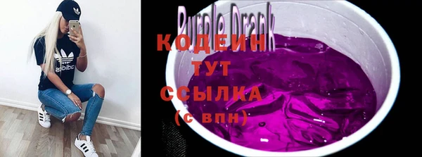 молекула духа Арсеньев