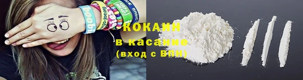 молекула духа Арсеньев