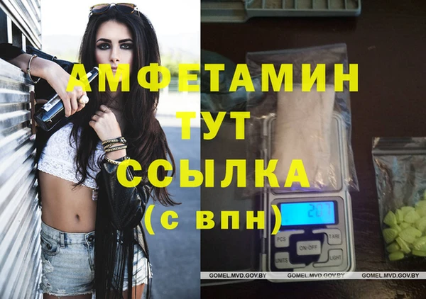 сатива Снежногорск