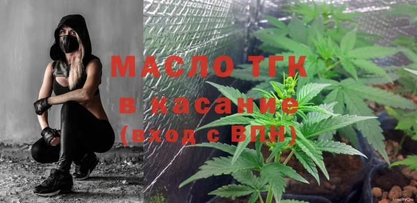 молекула духа Арсеньев